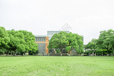 安静的大学校园风光背景