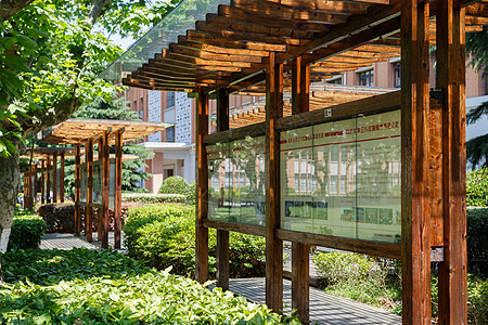 夏天植物元素学校的公告栏背景