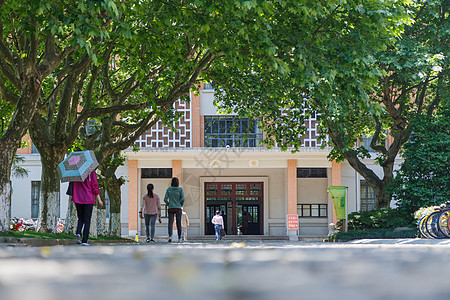 大学里的林荫道图片