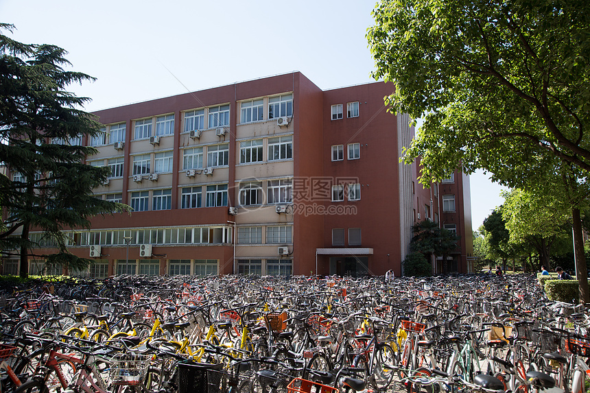 教学楼前的自行车图片
