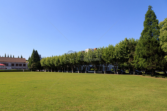 大学里的草坪