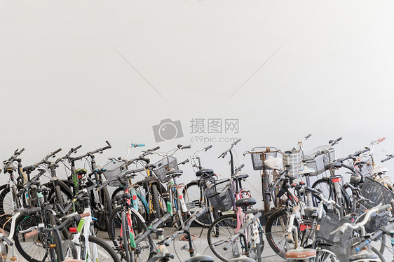 校园里的自行车图片