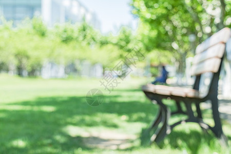 大学草地季配图校园林荫道背景