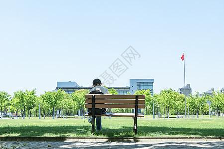 毕业季大学校园林荫道图片