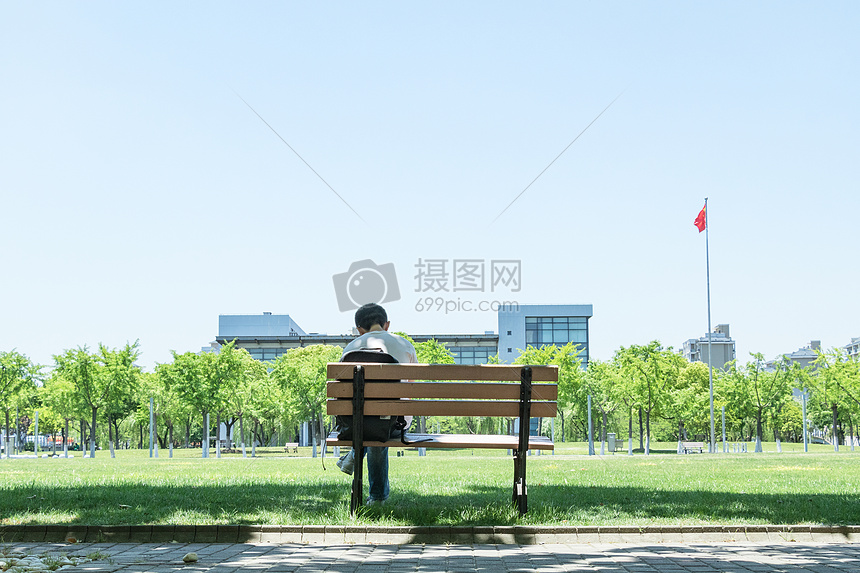 毕业季大学校园林荫道图片