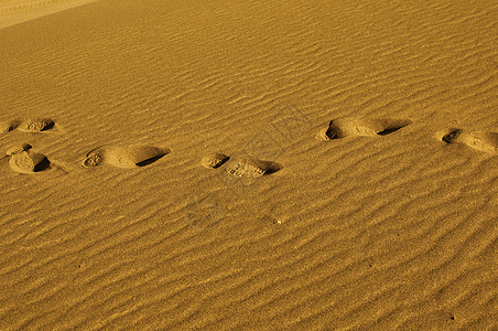 沙漠中的一串脚印图片