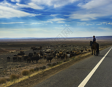 孤独的牧马童高清图片