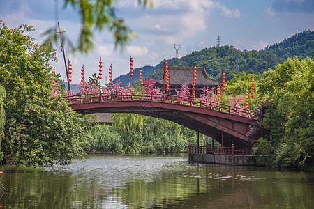 横店影视城5A景区爬墙虎高清图片