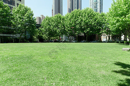 大学校园晴天下的草地背景图片