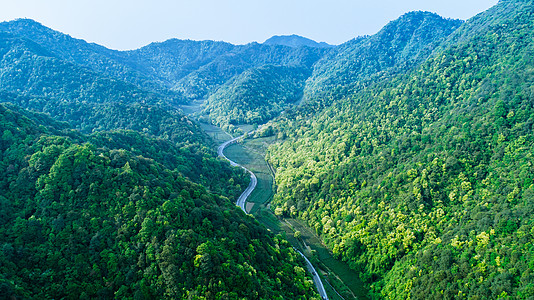 龙井茶山航拍梅家坞绿色茶园背景