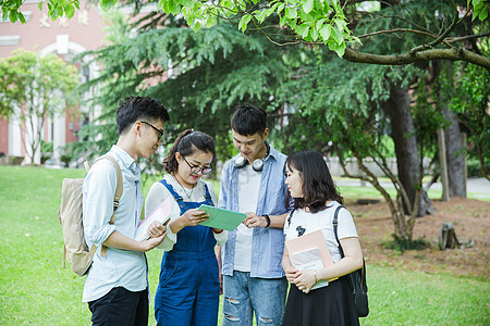 青春的大学生们在草地上讨论图片