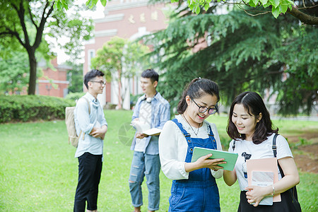 青春的大学生们在草地上讨论图片