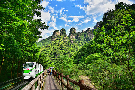 蓝天绿树张家界十里画廊背景