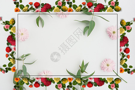 植物留白背景小清新鲜花边框背景设计图片