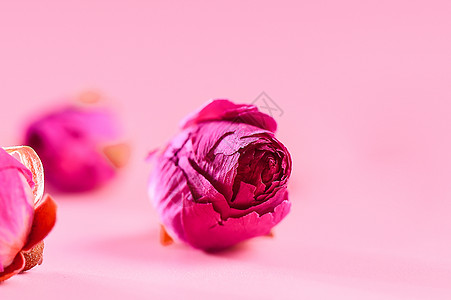 紫笋茶玫瑰背景
