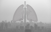 雾霾中的肺图片