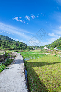 清新山村田地蓝天白云风景高清图片