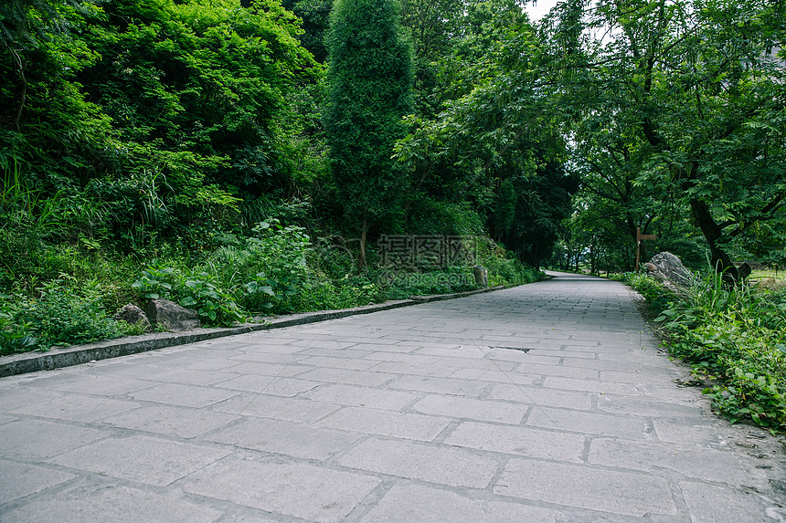 景区内清新公路风景图片