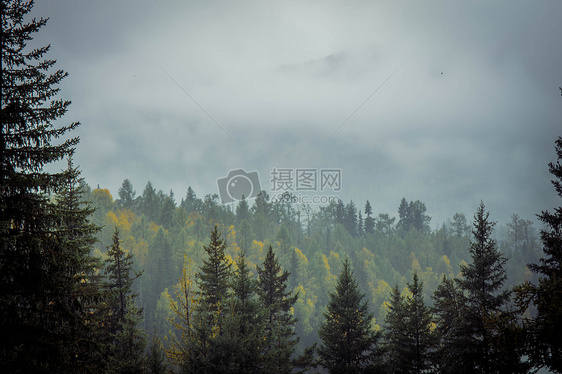 雨雾弥漫的天空图片