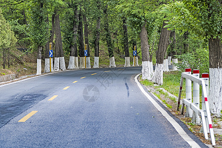 双车位林间公路背景