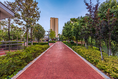 城市跑步城市园艺绿化背景