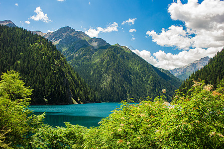 树木森林九寨沟长海背景