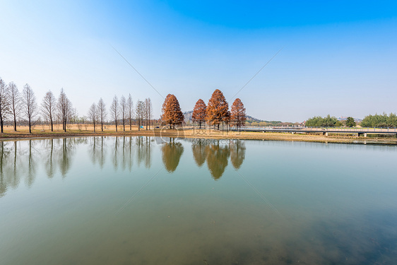 上海辰山植物园图片