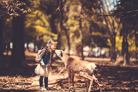 可爱小孩儿童与小鹿背景