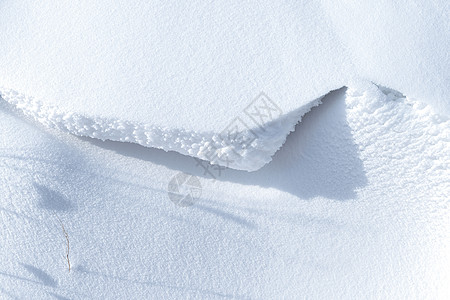 大雪纹理雪地枯草背景