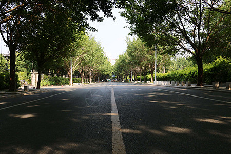 道路 街道  夏天图片