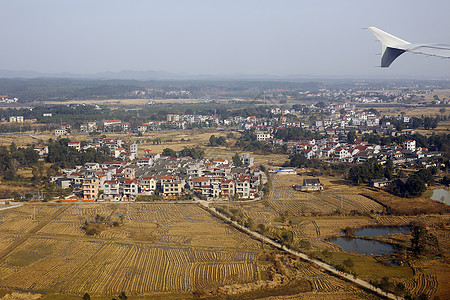 低空飞行在田野上空的民航客机图片