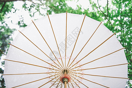 雨天纸伞白色树林高清图片