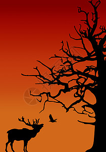 手绘-黄昏下鹿与鸟的交流高清图片