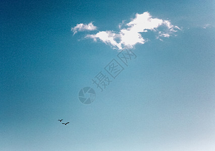仰望天空云与飞鸟背景图片