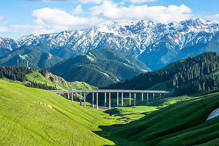 风景绿地夏季的新疆风光背景