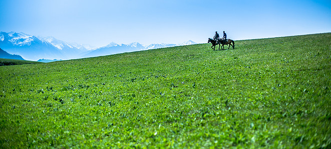 草原骑马蓝天绿草地高清图片