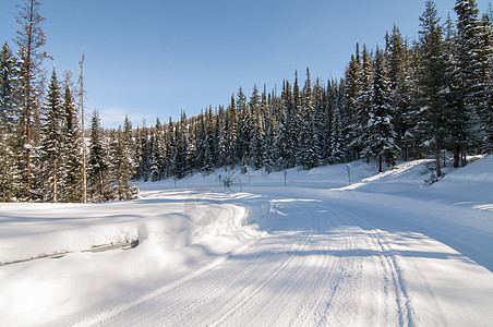 森林道路喀纳斯冬季雪路背景