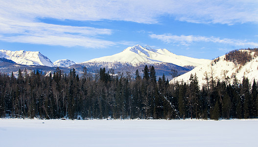 新疆美景喀纳斯雪峰森林背景