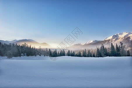 喀纳斯雪山晨雾背景图片