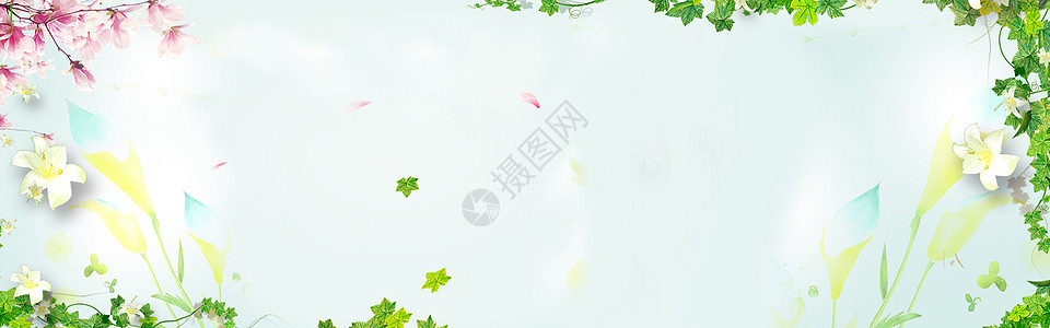 鲜花banner背景背景图片