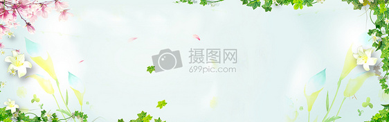 鲜花banner背景图片