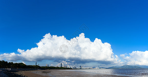 深圳红树林全景风景高清图片素材