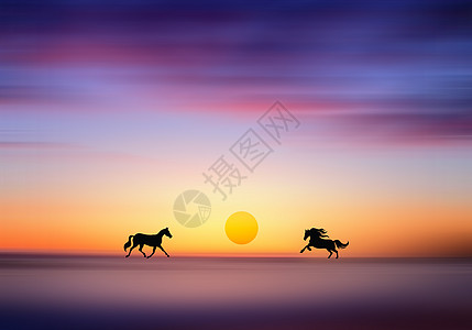 风景高清壁纸夕阳下尽情奔跑的马背景