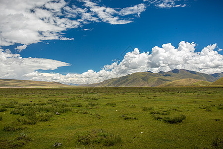 西藏草原的蓝天白云图片