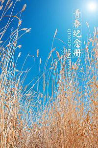 免费banner毕业季-青春纪念册背景