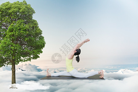 空中瑜伽树叶子做素材高清图片