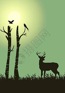 麋鹿剪影剪影-鹿与大自然背景