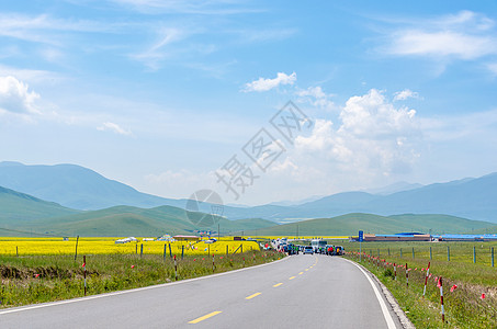 青海湖油菜花图片