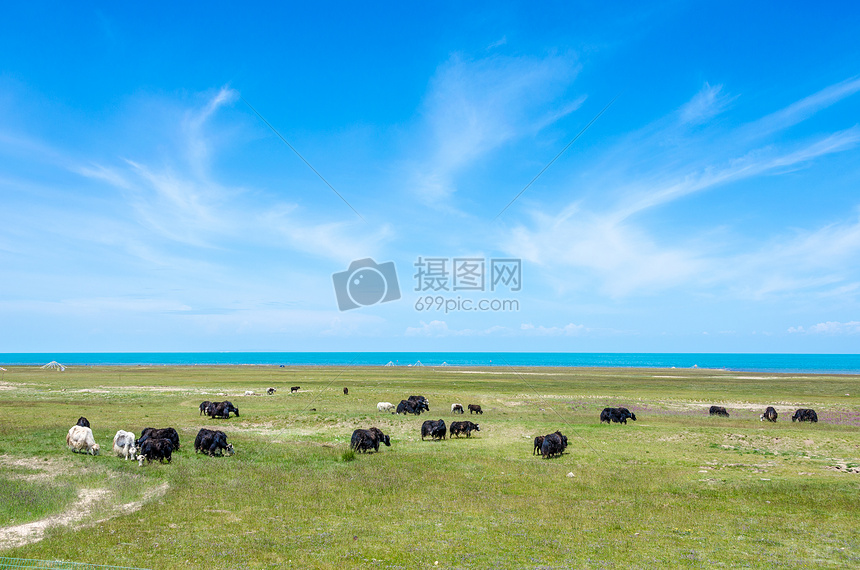 青海湖夏日风光图片