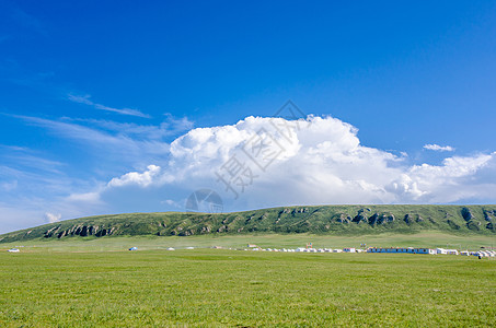 青海湖夏日风光背景